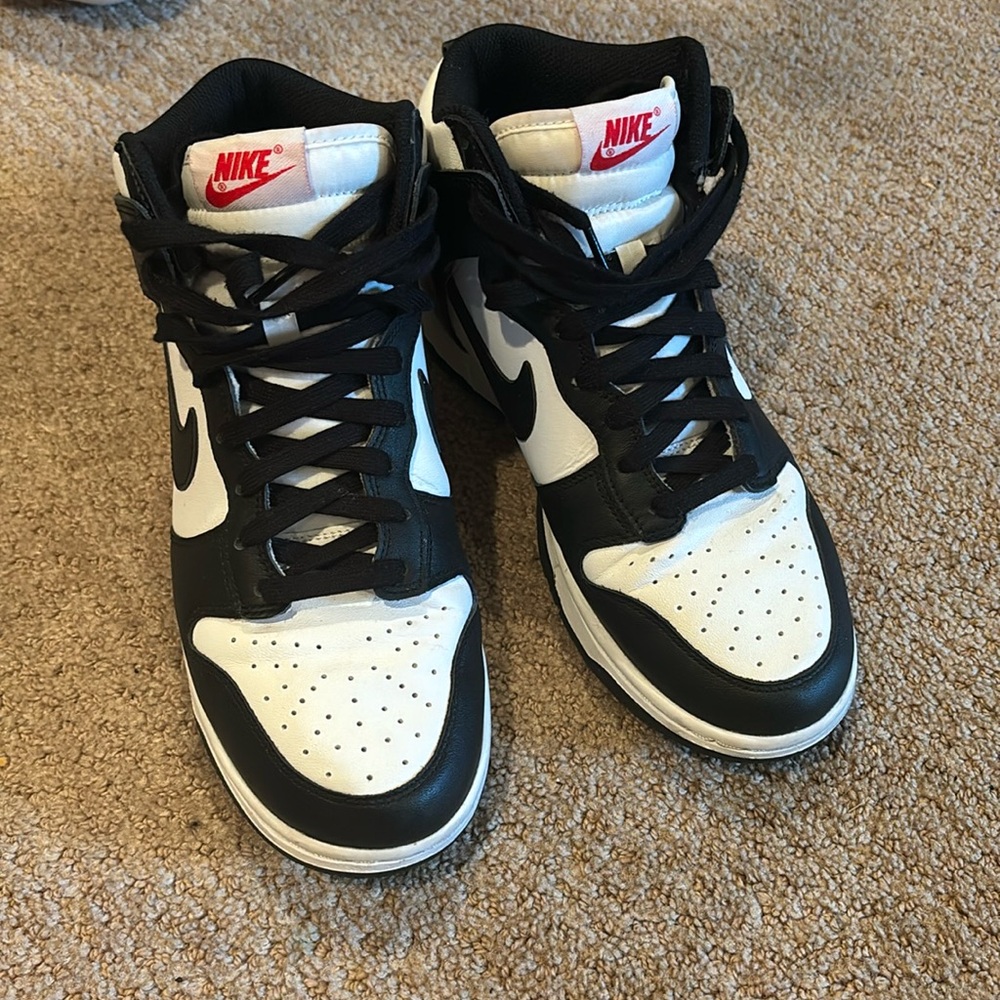 Nike dunk hight
